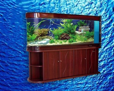 水族魚缸生產廠家位置揭秘，多渠道