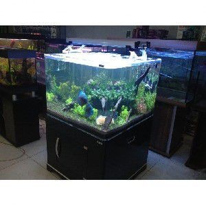 水族魚缸生產(chǎn)廠家位置揭秘，多渠道