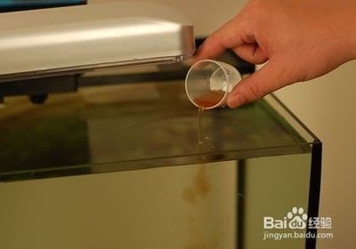 大魚缸怎樣清洗視頻：魚缸如何正確清洗魚缸，魚缸清洗視頻教程，正確步驟與方法，讓魚缸煥然