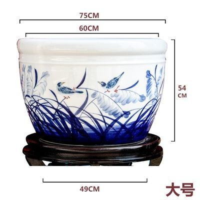 紅龍魚一年長多大了圖片大全（紅龍魚一年長多大了圖片大全集）龍魚一年長多大？高清圖片大全，成長記錄全解析