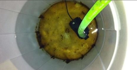 大型魚缸魚屎怎么清理視頻：大型魚缸魚屎清理常見問題如何清理大型魚缸魚屎清理，魚缸魚屎清理方法及常見問題詳解視頻