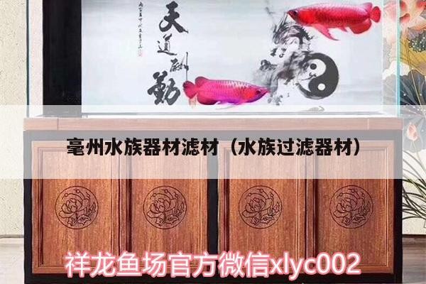 毫州水族器材濾材（水族過濾器材）州水族器材濾材，優質水族過濾器材，打造