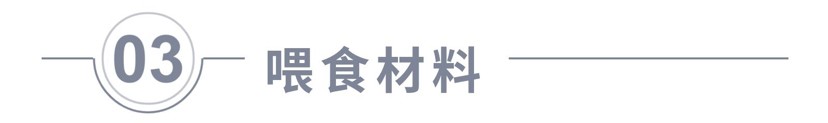 飼養(yǎng)、混養(yǎng)虎魚這五點(diǎn)你必須知道，飼養(yǎng)混養(yǎng)虎魚關(guān)鍵，這五點(diǎn)你必須要知道！