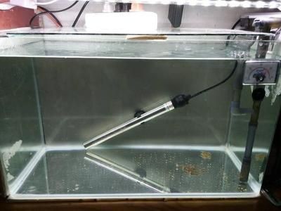 大魚缸換水怎么換的快，大魚缸換水提速妙招，高效快捷換水方法及