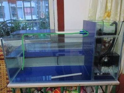 大魚缸換水怎么換的快，大魚缸換水提速妙招，高效快捷換水方法及