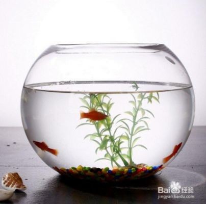 超白魚缸劃痕：如何處理超白魚缸劃痕，超白魚缸劃痕處理全攻略，修復技巧與預防方法詳解