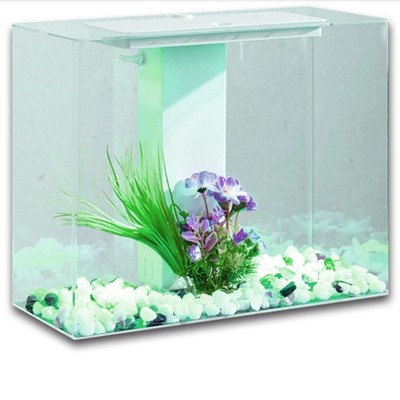 寧波市北侖區(qū)新碶魚(yú)之美水族館，市北侖區(qū)新碶魚(yú)之美水族館，探索海洋生物奧秘的奇妙水族世界