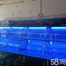 定做回收各種規格海鮮魚缸,免費上門設計。安裝制冷機：海鮮魚缸制冷技術在海鮮魚缸中的應用，回收海鮮魚缸，免費上門設計，解析制冷技術在缸中
