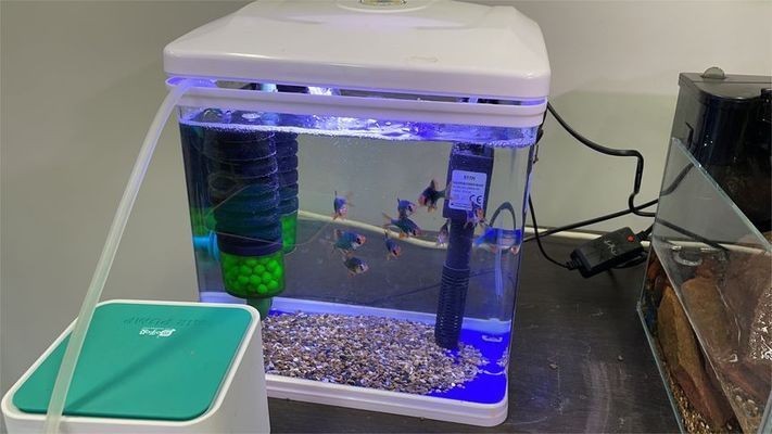 半圓魚缸改造：半圓魚缸改造方案，圓魚缸改造，方案、技巧與注意事項