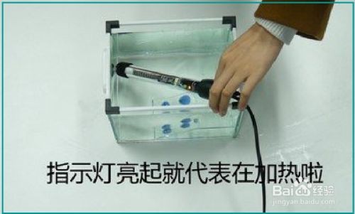 大魚缸怎么加熱省電：如何選擇合適的魚缸加熱棒，魚缸加熱省電攻略，選對(duì)加熱