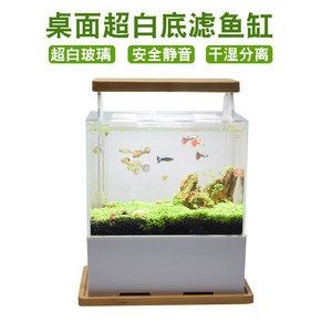 白底魚缸適合養(yǎng)什么植物：哪些水生植物適合在魚缸中種植？底魚缸適配植物揭秘，哪些水生植物宜于缸中