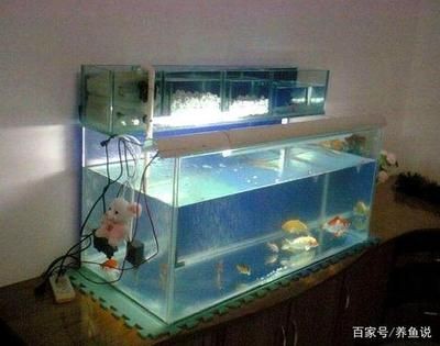 1.2米魚缸制作，2米魚缸制作全攻略，從選材到完工 1.2米魚缸制作，2米魚缸制作全攻略，從選材到完工 魚缸百科 第1張