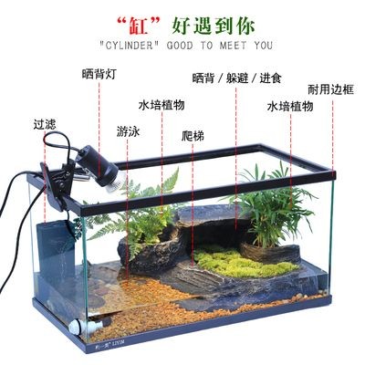 1.2米魚缸制作，2米魚缸制作全攻略，從選材到完工 1.2米魚缸制作，2米魚缸制作全攻略，從選材到完工 魚缸百科 第2張
