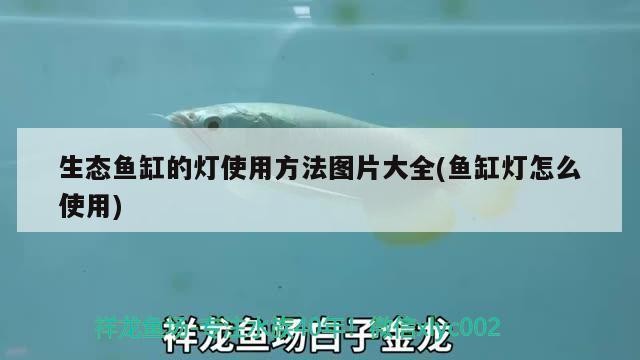 黃島區(qū)玉云澤水水族館（黃島區(qū)玉云澤水水族館電話）島區(qū)玉云澤水水族館，探秘海洋奇
