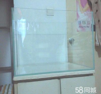 超白金晶魚缸 503035多少錢：50,30,35的超白金晶魚缸的價格，白金晶魚缸50/30/35尺寸價格大