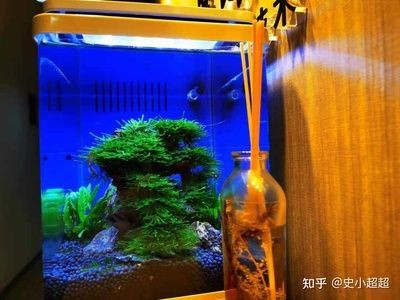 百因美 魚缸：百因美魚缸怎么樣？因美魚缸評測，質量、設計及