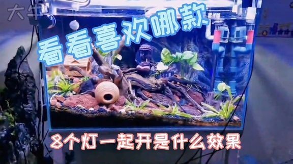 莘縣城南水族館（莘縣城南水族館電話）縣城南水族館探秘，特色展示與聯系電話全解析