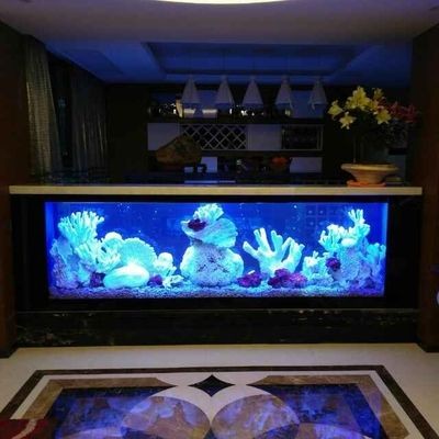 大型魚缸品牌排名榜：大型魚缸十大品牌，魚缸品牌排名榜，十大品牌大揭秘，助你挑選優(yōu)質(zhì)