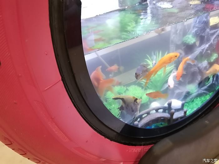 泰安市泰山區沐天水族館（泰安市泰山區沐天水族館電話）市泰山區沐天水族館，探尋其魅力及聯系電話詳情