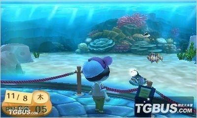 動森 魚缸 橫著放：《動物森友會》魚缸尺寸選擇指南選擇魚缸尺寸選擇指南，動森魚缸橫放攻略，尺寸選擇及擺放要點詳解