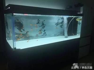 動森 魚缸 橫著放：《動物森友會》魚缸尺寸選擇指南選擇魚缸尺寸選擇指南，動森魚缸橫放攻略，尺寸選擇及擺放要點詳解