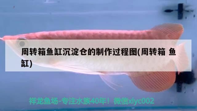 周轉(zhuǎn)箱魚缸沉淀倉的制作過程圖(周轉(zhuǎn)箱魚缸)周轉(zhuǎn)箱魚缸沉淀倉制作全記錄，步驟詳解與注意事項(xiàng)