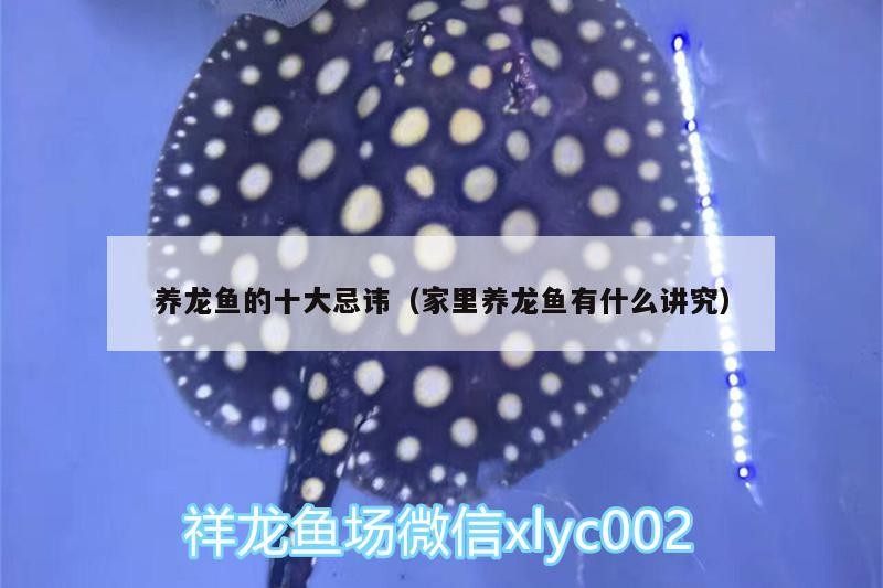 寶坻龍魚是否具有獨特的色彩表現，寶坻龍魚是否具有獨特的色彩表現，