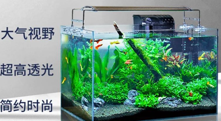 成品魚(yú)缸品牌排行榜前十名，魚(yú)缸品牌排行榜前十名，助你挑選