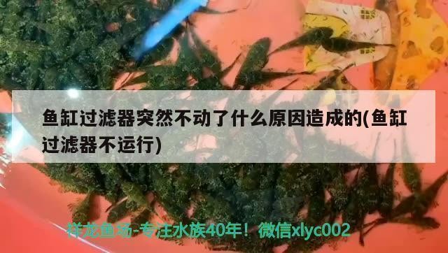 武漢金安泰科技有限公司（武漢金安泰科技有限公司怎么樣）金安泰科技有限公司深度剖析，實力、口碑與發展前景全解析