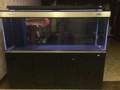比彩蝶好的魚缸品種：哪些品牌的魚缸比彩蝶魚缸更好？彩蝶好的魚缸品種，探尋優于彩蝶的優質魚缸品牌