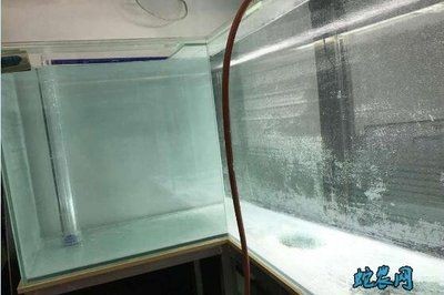 玻璃魚缸怎么制作視頻：玻璃魚缸制作，玻璃魚缸制作視頻教程，從材料準備到成品打造全解析 玻璃魚缸怎么制作視頻：玻璃魚缸制作，玻璃魚缸制作視頻教程，從材料準備到成品打造全解析 魚缸百科 第3張