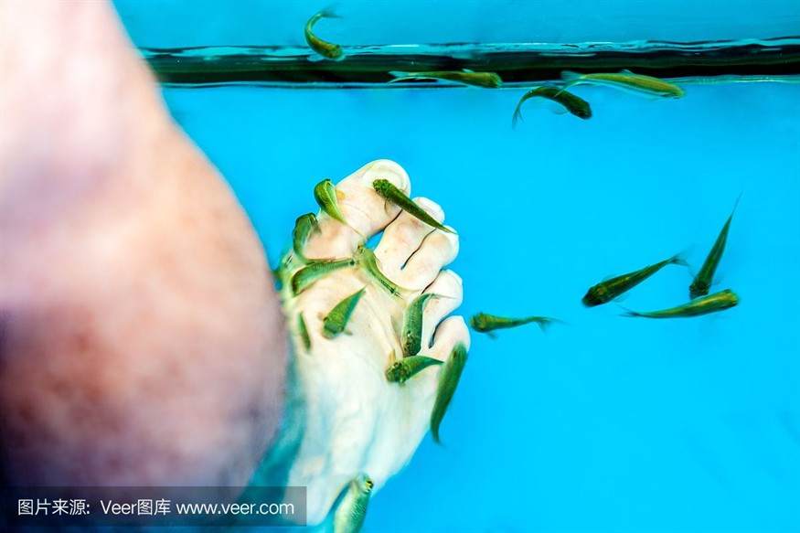 玻璃鋼做魚缸怎么樣：玻璃鋼魚缸優缺點，鋼做魚缸怎么樣？深度剖析玻璃鋼魚缸的