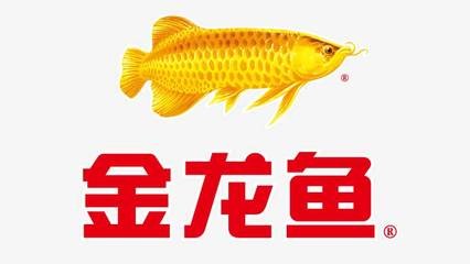 血紅龍魚圖片大全高清大圖（血紅龍魚圖片大全高清大圖無水印）紅龍魚高清大圖無水印圖片大全，盡顯龍魚