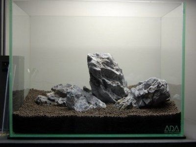 大型魚缸石頭造景圖：大型魚缸石頭造景圖片如何打造一個令人贊嘆的魚缸造景，大型魚缸石頭造景圖賞，打造令人贊嘆的魚缸景觀