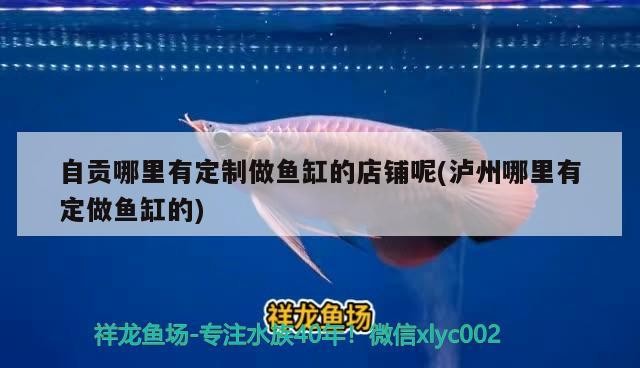 自貢哪里有定制做魚缸的店鋪呢(瀘州哪里有定做魚缸的)貢瀘州定制魚缸店鋪大揭秘，哪里能做專屬魚缸？
