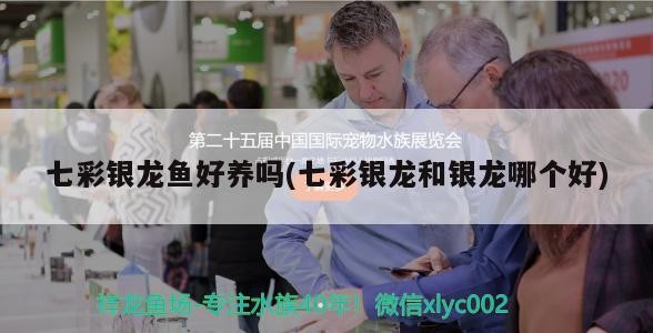 七彩銀龍魚好養嗎(七彩銀龍和銀龍哪個好)彩銀龍魚與普通銀龍對比，哪個更好養？
