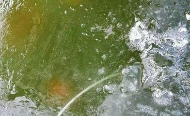 大魚缸要怎么換水：大魚缸換水的正確方式和注意事項，魚缸換水有講究，正確方式及