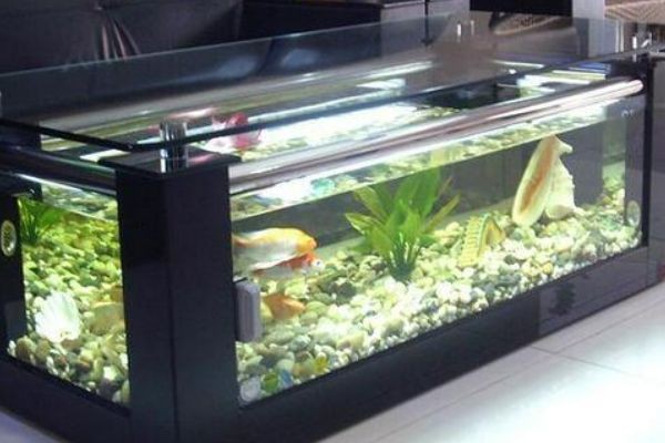 超白魚缸跟普通魚缸區(qū)別大嗎：超白魚缸與普通魚缸的區(qū)別，白魚缸與普通魚缸區(qū)別大嗎？全方位對(duì)比解析二者差異