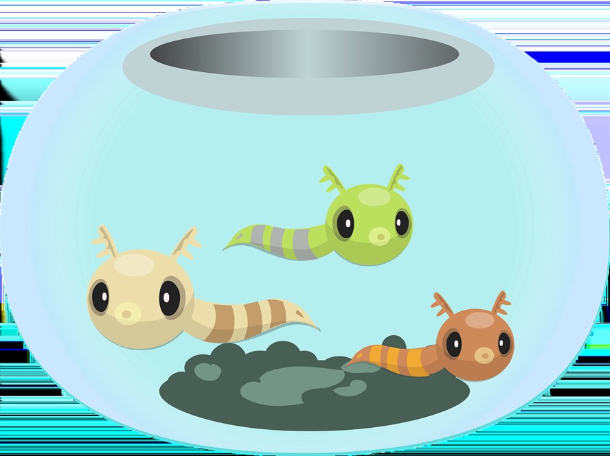 膠南市鴻龍水族店（膠南市鴻龍水族店電話）南市鴻龍水族店，電話、地址及特色水