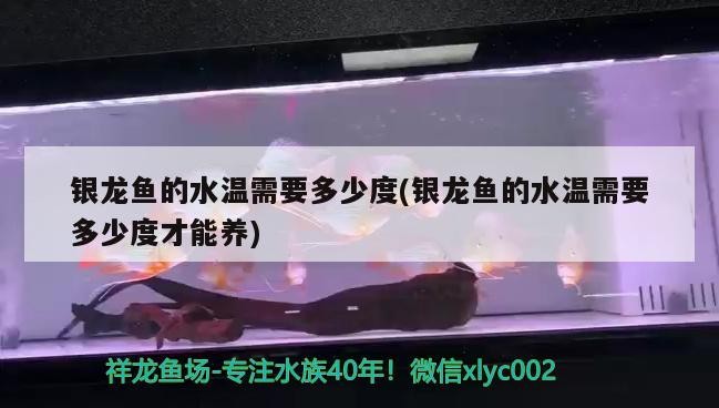銀龍魚的水溫需要多少度(銀龍魚的水溫需要多少度才能養(yǎng))龍魚適宜水溫多少度？養(yǎng)殖關(guān)鍵