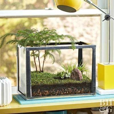 棗莊市市中區(qū)榕慧水族店（棗莊市市中區(qū)榕慧水族店電話）莊市中區(qū)榕慧水族店，電話及店鋪詳情