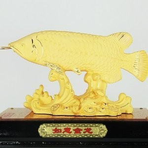 水族批發平臺有哪些水族批發平臺有哪些（水族批發app）（水族批發網站）族批發平臺大盤點，app與網站全解析，助你