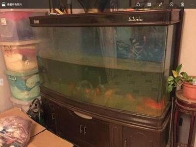 搬家魚缸不搬走風水怎么破解：如何破解搬家魚缸不搬走的風水問題？魚缸不搬走風水咋破？破解