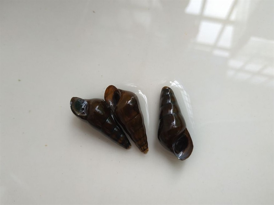 論過(guò)濾系統(tǒng)的重要性？過(guò)濾系統(tǒng)，守護(hù)健康與環(huán)境的關(guān)鍵防線，其重要性不容小