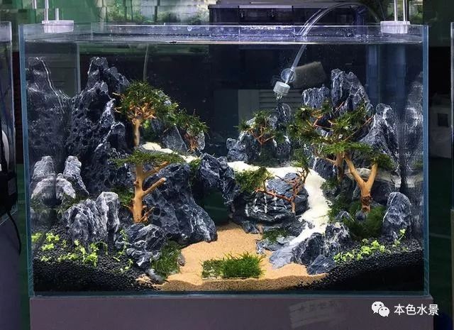 辦公桌能不能放魚缸：辦公桌上可以放置魚缸嗎？桌能否放魚缸？擺放條件、注意事項及