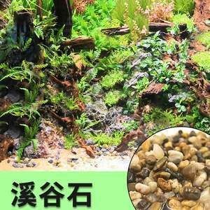 鵝卵石造景魚缸教學反思與總結：鵝卵石造景缸教學反思，卵石造景魚缸教學反思總結，從實踐到理論的