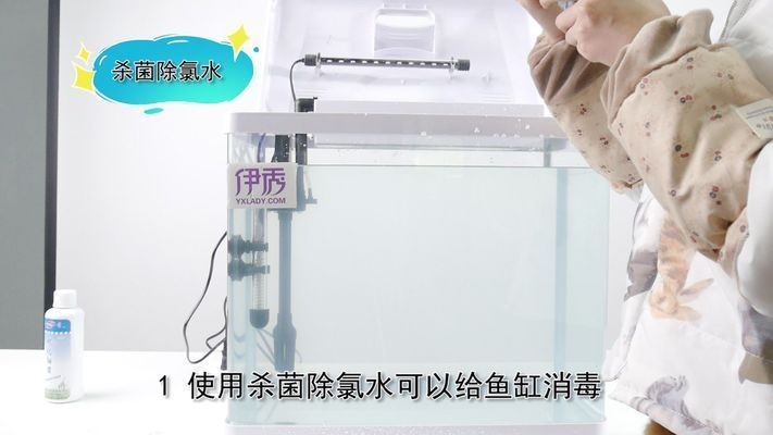 大魚缸如何清潔消毒視頻：關于大魚缸清潔消毒，魚缸清潔消毒全攻略視頻，方法、
