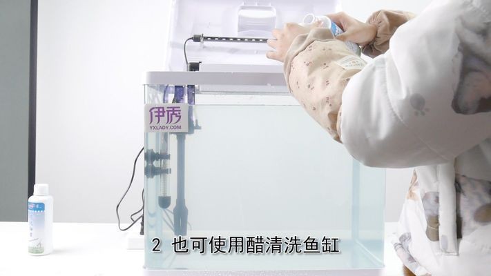 大魚缸如何清潔消毒視頻：關于大魚缸清潔消毒，魚缸清潔消毒全攻略視頻，方法、