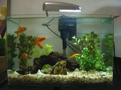 1.8米魚缸一個月多少電：1.8米魚缸一個月的耗電量因素具體情況而異，8米魚缸月耗電量揭秘，受多因素影響，具體情況