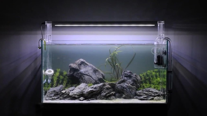 1.8米魚缸一個月多少電：1.8米魚缸一個月的耗電量因素具體情況而異，8米魚缸月耗電量揭秘，受多因素影響，具體情況